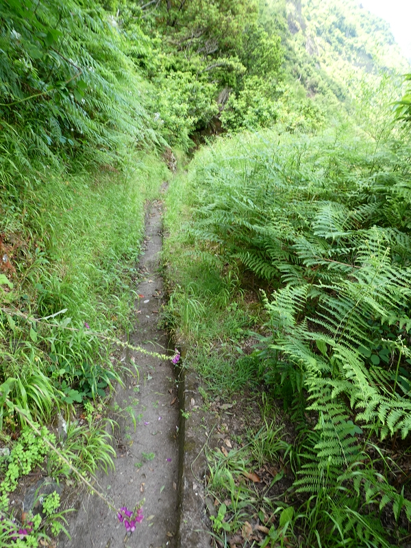 03.07.2018 Rundtour von Boaventura über die Ribeira dos Moinhos nach Achada da Madeira und zurück über die Levada da Achada Grande — Gegen die Fliessrichtung bis zum Wasserabfluss nach Falca de Cima — Foto 2