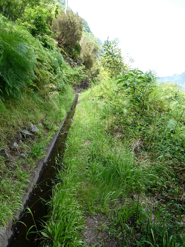 03.07.2018 Rundtour von Boaventura über die Ribeira dos Moinhos nach Achada da Madeira und zurück über die Levada da Achada Grande — Gegen die Fliessrichtung bis zum Wasserabfluss nach Falca de Cima — Foto 4