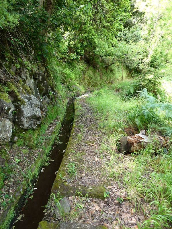 Levada (Nova) da Achada Grande — Até ao fim conservado — foto 1
