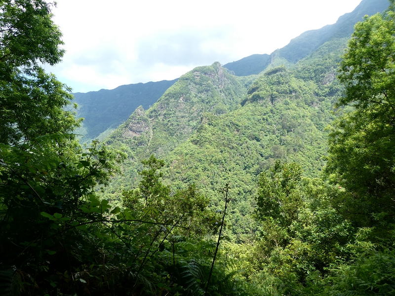 Levada (Nova) da Achada Grande — Até ao fim conservado — foto 2