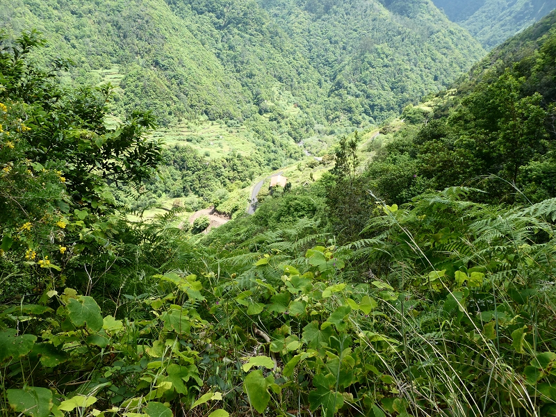 Levada (Nova) da Achada Grande — Até ao fim conservado — foto 3