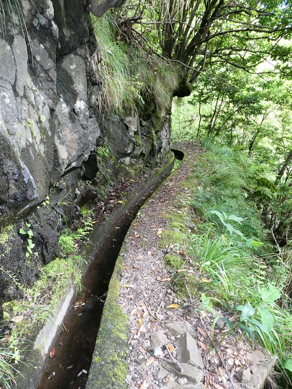 03.07.2018 Rundtour von Boaventura über die Ribeira dos Moinhos nach Achada da Madeira und zurück über die Levada da Achada Grande — Gegen die Fliessrichtung bis zum Wasserabfluss nach Falca de Cima — Foto 8