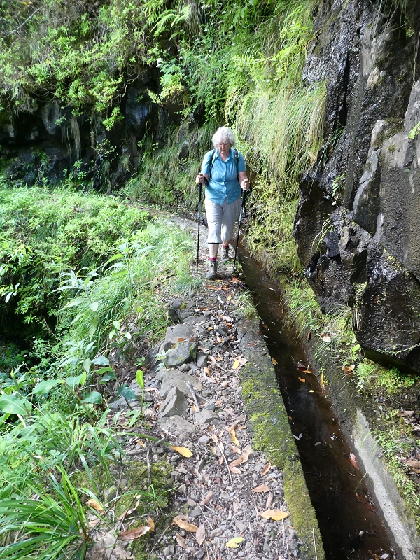 03.07.2018 Rundtour von Boaventura über die Ribeira dos Moinhos nach Achada da Madeira und zurück über die Levada da Achada Grande — Gegen die Fliessrichtung bis zum Wasserabfluss nach Falca de Cima — Foto 9