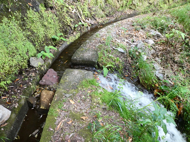 Levada (Nova) da Achada Grande — Até à saída de água para Falca de Cima — foto 5