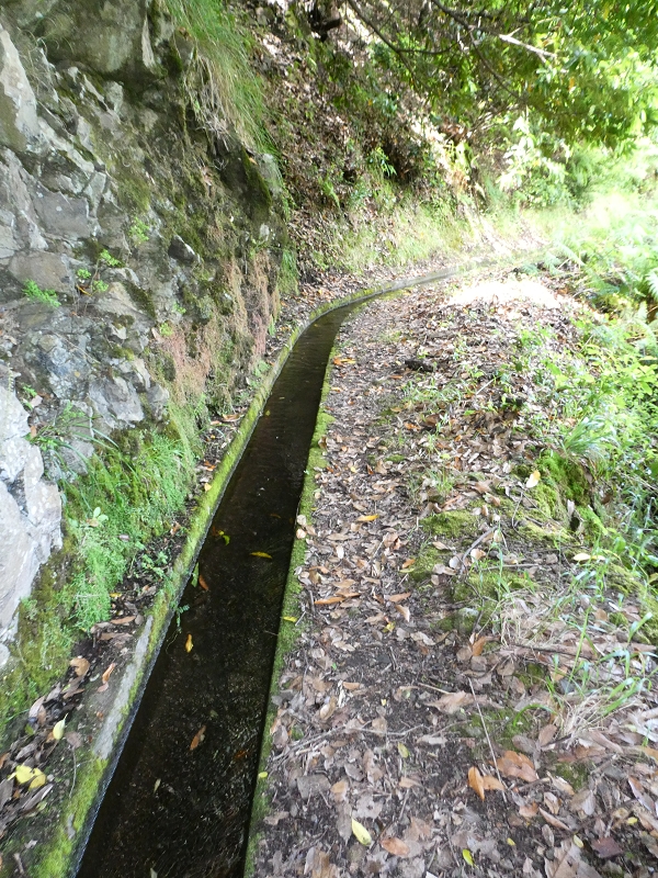 Levada (Nova) da Achada Grande — Até à saída de água para Falca de Cima — foto 1