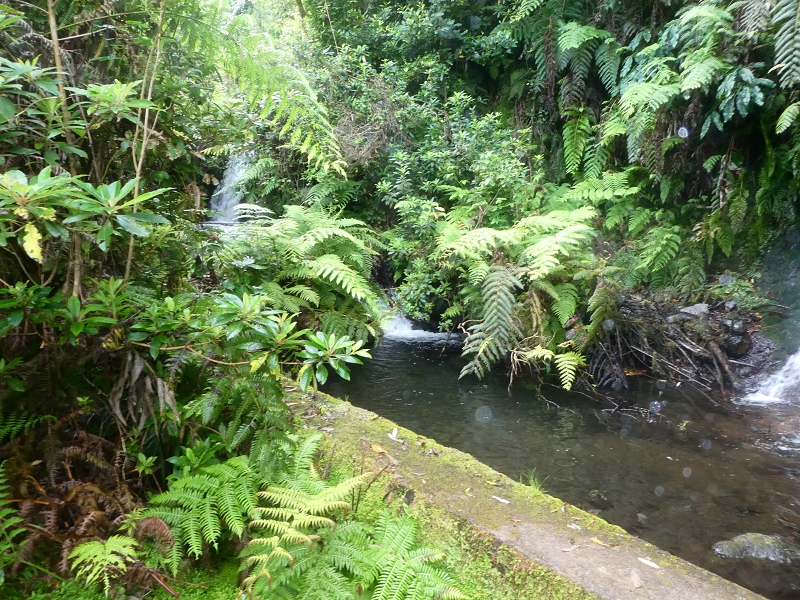 03.07.2018 Rundtour von Boaventura über die Ribeira dos Moinhos nach Achada da Madeira und zurück über die Levada da Achada Grande — Von Rocada zur Madre der Levada da Achada Grande — Foto 14