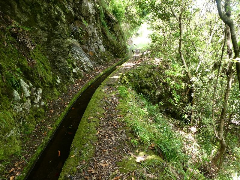 Levada (Nova) da Achada Grande — Até à saída de água para Falca de Cima — foto 2
