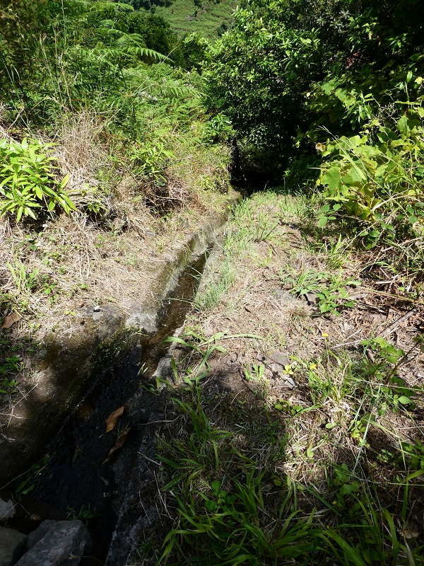 Levada (Nova) da Achada Grande — Até à saída de água para Falca de Cima — foto 3