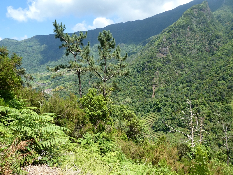 03.07.2018 Rundtour von Boaventura über die Ribeira dos Moinhos nach Achada da Madeira und zurück über die Levada da Achada Grande — Nach Tanque — Foto 4