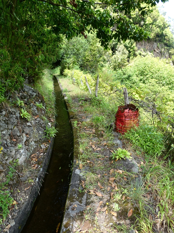 Levada (Nova) da Achada Grande — Até à saída de água para Falca de Cima — foto 4