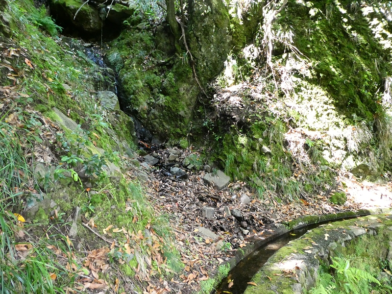 03.07.2018 Rundtour von Boaventura über die Ribeira dos Moinhos nach Achada da Madeira und zurück über die Levada da Achada Grande — Nach Tanque — Foto 8