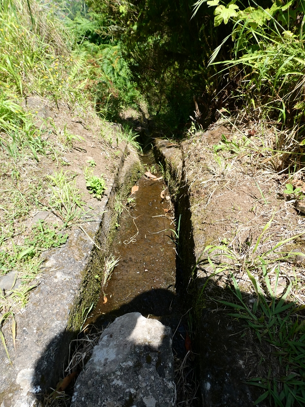 03.07.2018 Rundtour von Boaventura über die Ribeira dos Moinhos nach Achada da Madeira und zurück über die Levada da Achada Grande — Nach Tanque — Foto 10