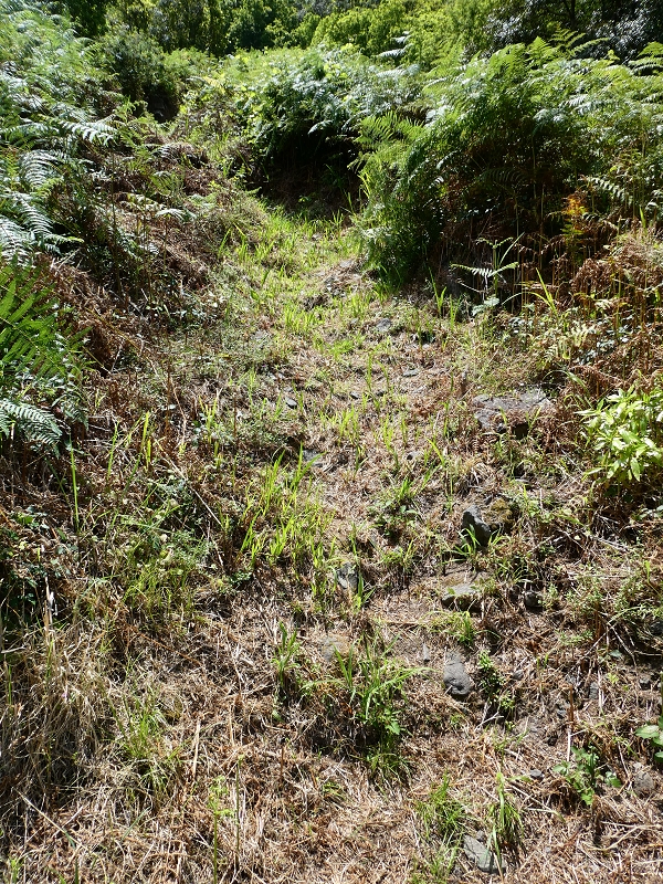 03.07.2018 Rundtour von Boaventura über die Ribeira dos Moinhos nach Achada da Madeira und zurück über die Levada da Achada Grande — Nach Tanque — Foto 11
