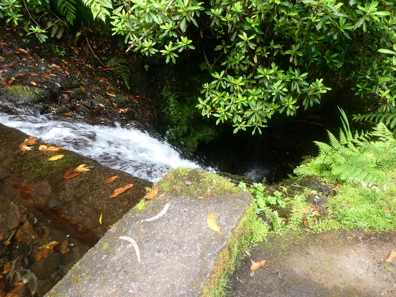 03.07.2018 Rundtour von Boaventura über die Ribeira dos Moinhos nach Achada da Madeira und zurück über die Levada da Achada Grande — Von Rocada zur Madre der Levada da Achada Grande — Foto 15