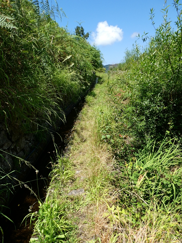 Levada (Nova) da Achada Grande — Seguindo para Tanque — foto 3