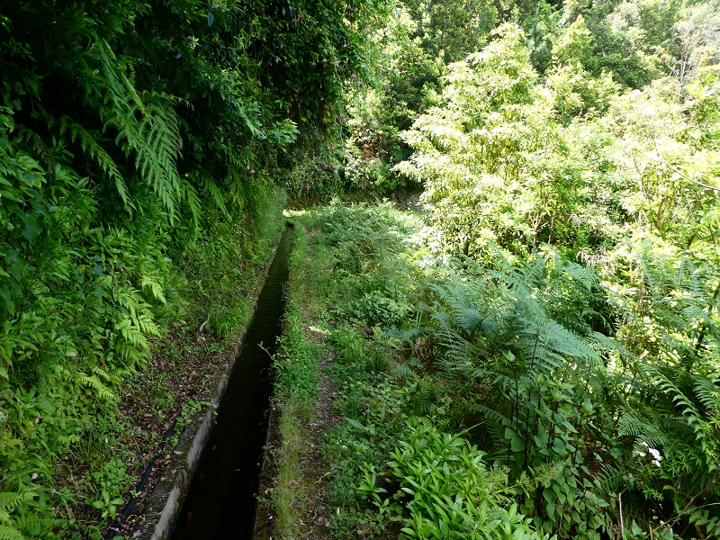 Levada (Nova) da Achada Grande — Por cima da Ribeira do Porco — foto 5