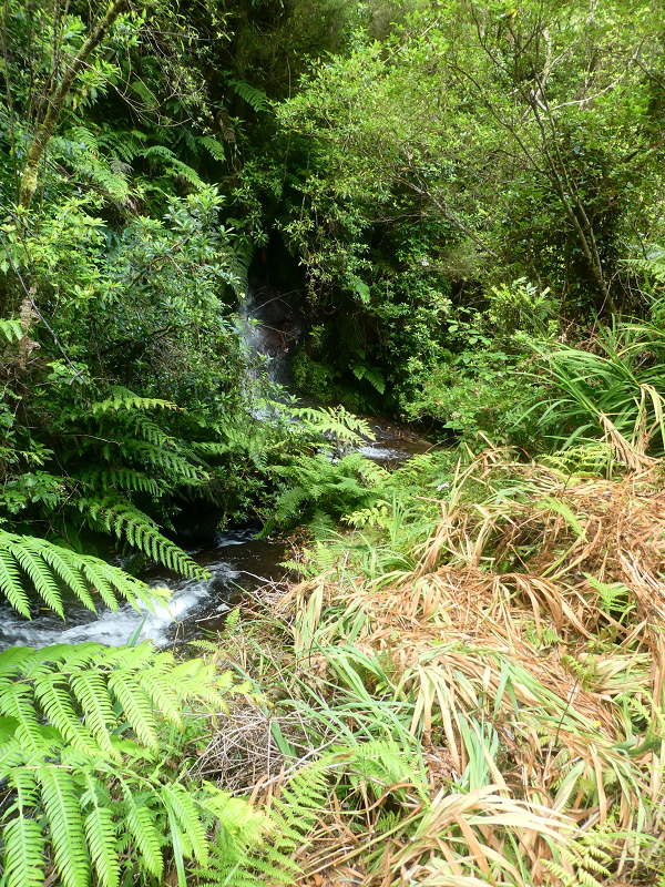 03.07.2018 Rundtour von Boaventura über die Ribeira dos Moinhos nach Achada da Madeira und zurück über die Levada da Achada Grande — Weiter zum Poio das Rabacas — Foto 1