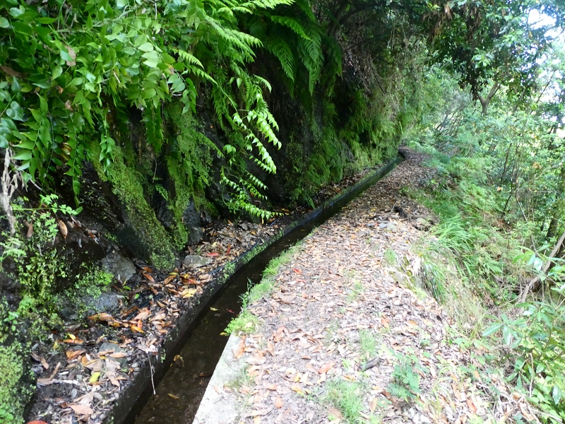03.07.2018 Rundtour von Boaventura über die Ribeira dos Moinhos nach Achada da Madeira und zurück über die Levada da Achada Grande — Bis zum Tunnel — Foto 5