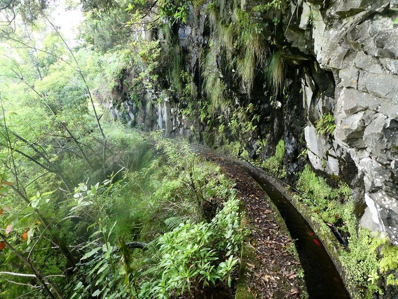 03.07.2018 Rundtour von Boaventura über die Ribeira dos Moinhos nach Achada da Madeira und zurück über die Levada da Achada Grande — Bis zum Tunnel — Foto 6