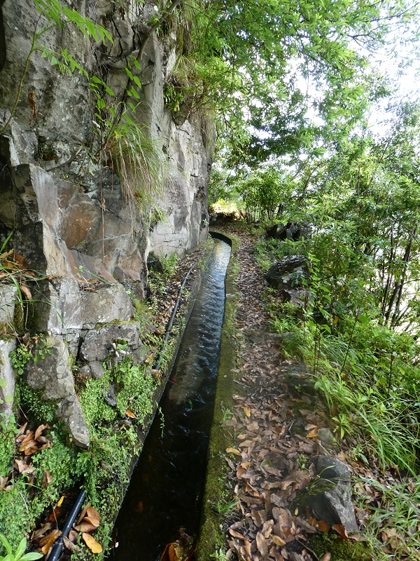 03.07.2018 Rundtour von Boaventura über die Ribeira dos Moinhos nach Achada da Madeira und zurück über die Levada da Achada Grande — Bis zum Tunnel — Foto 7