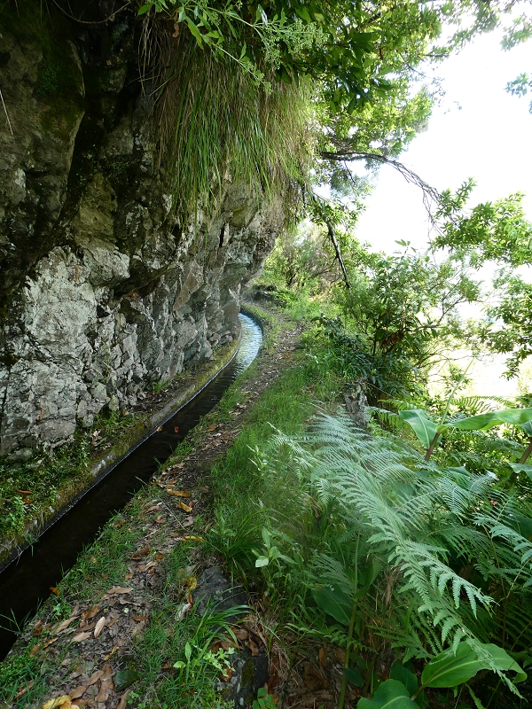 03.07.2018 Rundtour von Boaventura über die Ribeira dos Moinhos nach Achada da Madeira und zurück über die Levada da Achada Grande — Viewpopint mit Geodesico — Foto 5
