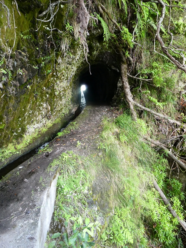 03.07.2018 Rundtour von Boaventura über die Ribeira dos Moinhos nach Achada da Madeira und zurück über die Levada da Achada Grande — Viewpopint mit Geodesico — Foto 6