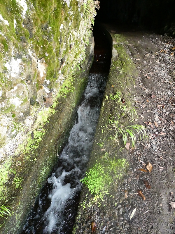 03.07.2018 Rundtour von Boaventura über die Ribeira dos Moinhos nach Achada da Madeira und zurück über die Levada da Achada Grande — Viewpopint mit Geodesico — Foto 7