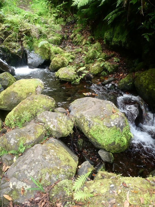 03.07.2018 Rundtour von Boaventura über die Ribeira dos Moinhos nach Achada da Madeira und zurück über die Levada da Achada Grande — Weiter zum Poio das Rabacas — Foto 2