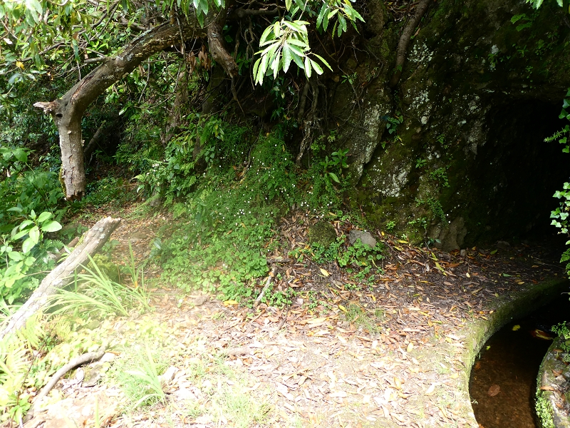 03.07.2018 Rundtour von Boaventura über die Ribeira dos Moinhos nach Achada da Madeira und zurück über die Levada da Achada Grande — Viewpopint mit Geodesico — Foto 14