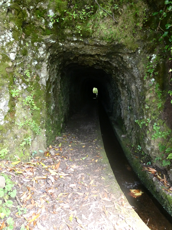 03.07.2018 Rundtour von Boaventura über die Ribeira dos Moinhos nach Achada da Madeira und zurück über die Levada da Achada Grande — Viewpopint mit Geodesico — Foto 15