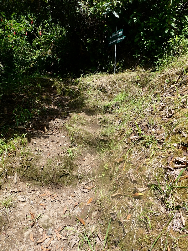 03.07.2018 Rundtour von Boaventura über die Ribeira dos Moinhos nach Achada da Madeira und zurück über die Levada da Achada Grande — Abstieg und zurück zum Auto — Foto 2