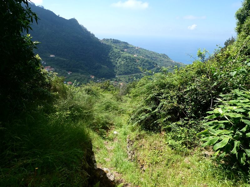 03.07.2018 Rundtour von Boaventura über die Ribeira dos Moinhos nach Achada da Madeira und zurück über die Levada da Achada Grande — Abstieg und zurück zum Auto — Foto 3
