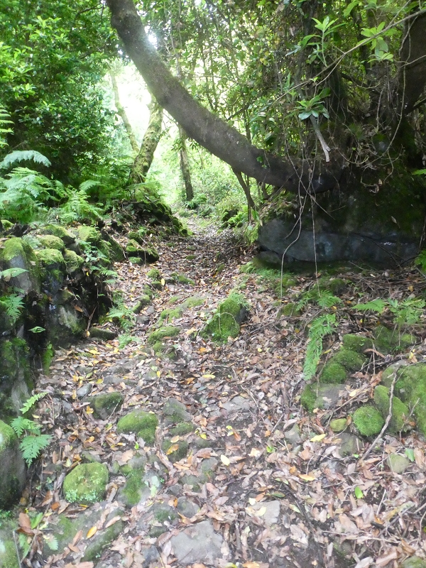 03.07.2018 Rundtour von Boaventura über die Ribeira dos Moinhos nach Achada da Madeira und zurück über die Levada da Achada Grande — Weiter zum Poio das Rabacas — Foto 5