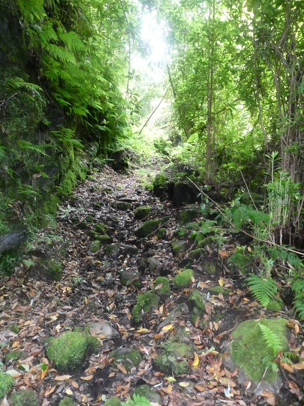 03.07.2018 Rundtour von Boaventura über die Ribeira dos Moinhos nach Achada da Madeira und zurück über die Levada da Achada Grande — Weiter zum Poio das Rabacas — Foto 6