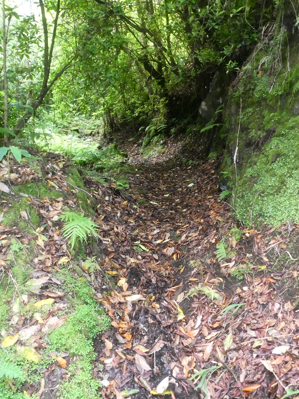 03.07.2018 Rundtour von Boaventura über die Ribeira dos Moinhos nach Achada da Madeira und zurück über die Levada da Achada Grande — Weiter zum Poio das Rabacas — Foto 8