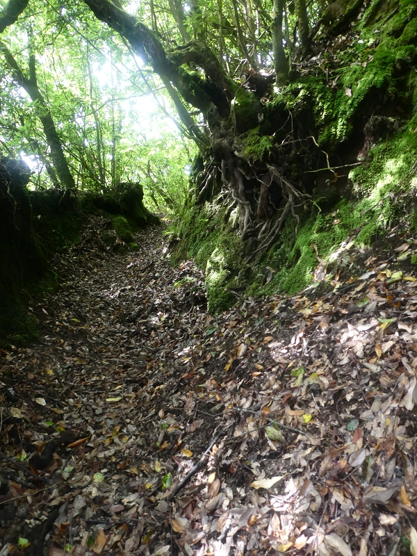 03.07.2018 Rundtour von Boaventura über die Ribeira dos Moinhos nach Achada da Madeira und zurück über die Levada da Achada Grande — Weiter zum Poio das Rabacas — Foto 11