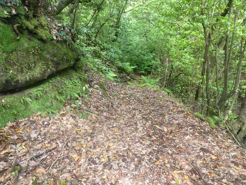 03.07.2018 Rundtour von Boaventura über die Ribeira dos Moinhos nach Achada da Madeira und zurück über die Levada da Achada Grande — Weiter zum Poio das Rabacas — Foto 12
