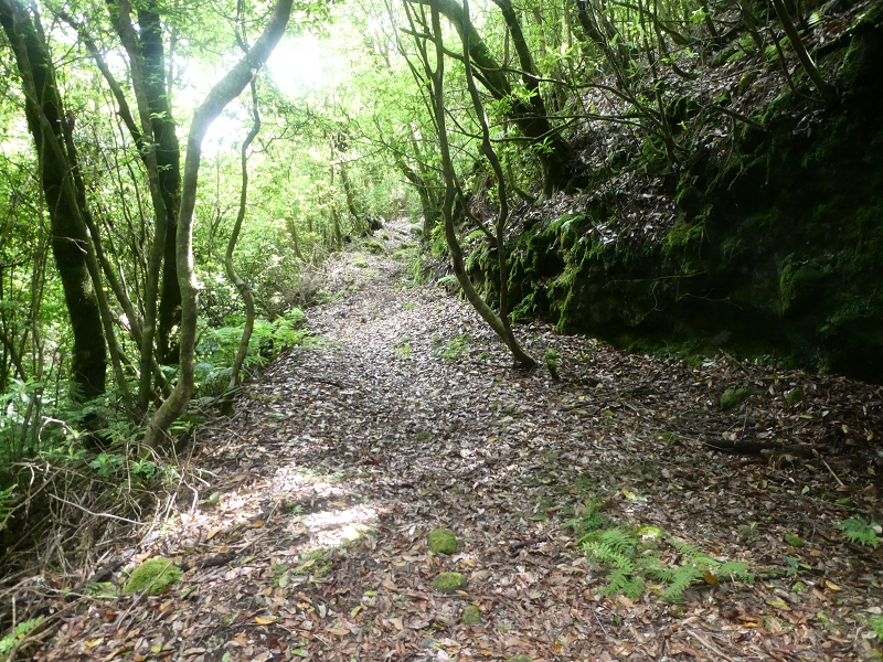 03.07.2018 Rundtour von Boaventura über die Ribeira dos Moinhos nach Achada da Madeira und zurück über die Levada da Achada Grande — Weiter zum Poio das Rabacas — Foto 14