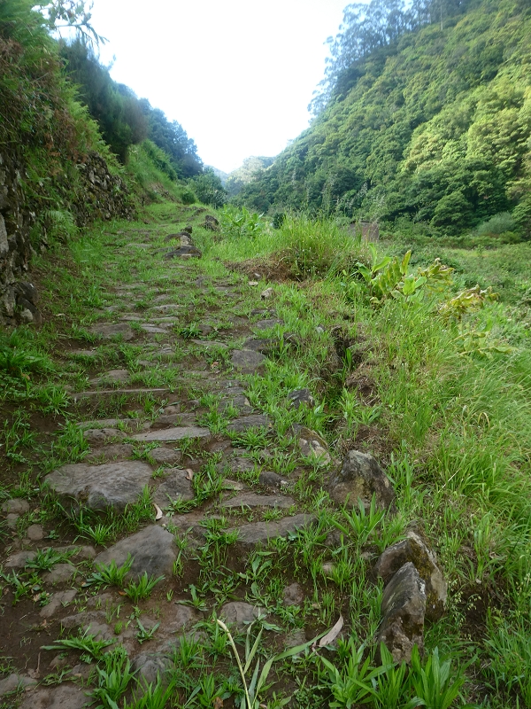 03.07.2018 Rundtour von Boaventura über die Ribeira dos Moinhos nach Achada da Madeira und zurück über die Levada da Achada Grande — Von Rocada zur Madre der Levada da Achada Grande — Foto 3