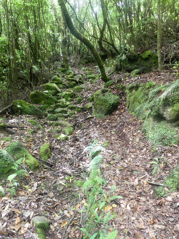 03.07.2018 Rundtour von Boaventura über die Ribeira dos Moinhos nach Achada da Madeira und zurück über die Levada da Achada Grande — Weiter zum Poio das Rabacas — Foto 15