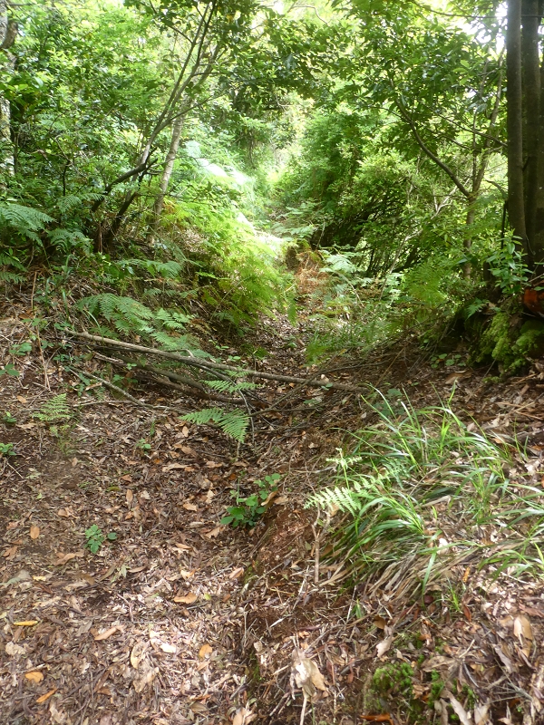 03.07.2018 Rundtour von Boaventura über die Ribeira dos Moinhos nach Achada da Madeira und zurück über die Levada da Achada Grande — Weiter zum Poio das Rabacas — Foto 19