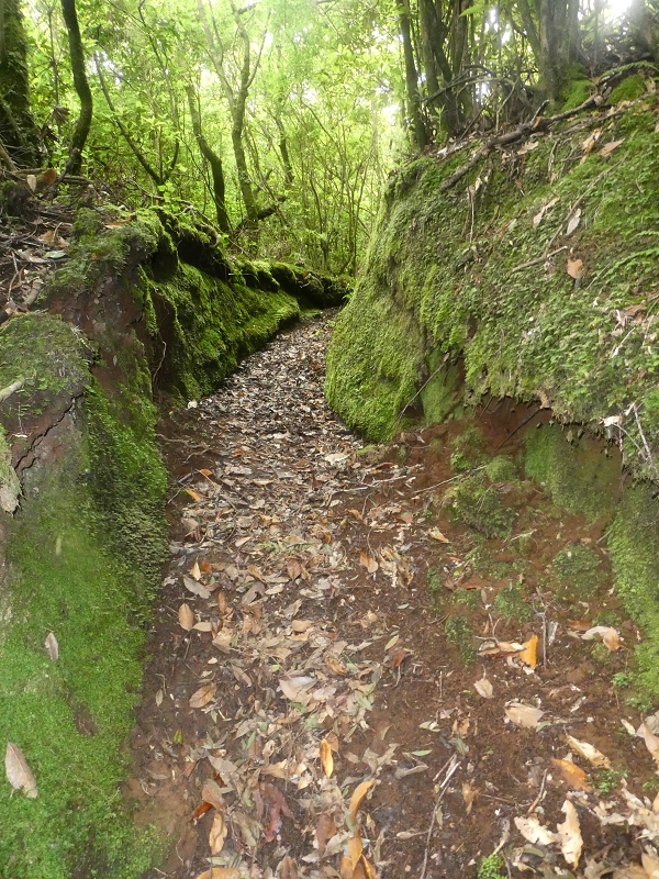 03.07.2018 Rundtour von Boaventura über die Ribeira dos Moinhos nach Achada da Madeira und zurück über die Levada da Achada Grande — Weiter zum Poio das Rabacas — Foto 24