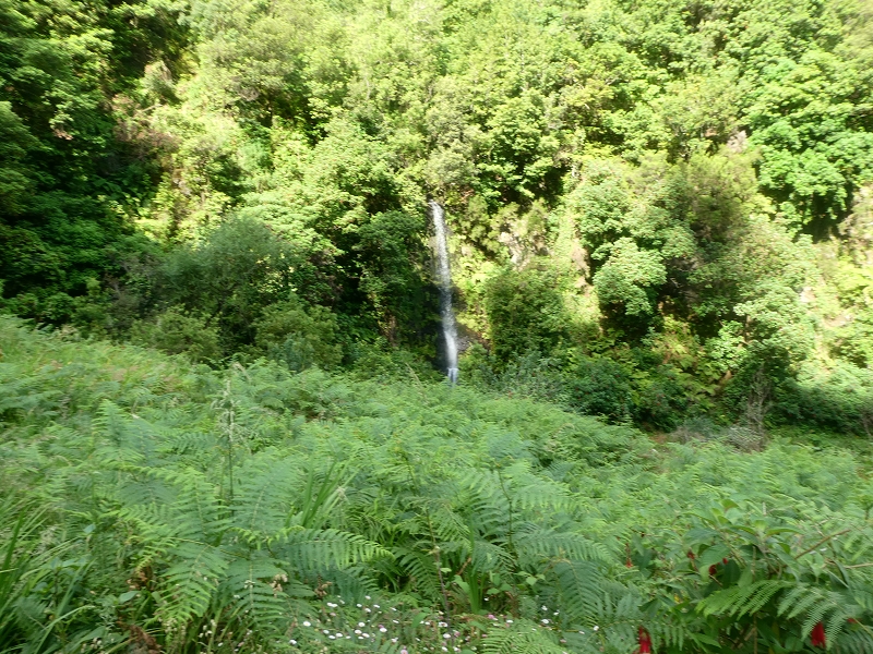 03.07.2018 Rundtour von Boaventura über die Ribeira dos Moinhos nach Achada da Madeira und zurück über die Levada da Achada Grande — Von Rocada zur Madre der Levada da Achada Grande — Foto 4
