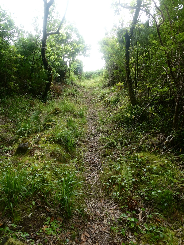 03.07.2018 Rundtour von Boaventura über die Ribeira dos Moinhos nach Achada da Madeira und zurück über die Levada da Achada Grande — Weiter zum Poio das Rabacas — Foto 25