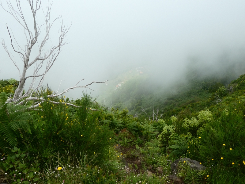 03.07.2018 Rundtour von Boaventura über die Ribeira dos Moinhos nach Achada da Madeira und zurück über die Levada da Achada Grande — Abstieg nach Achada da Madeira — Foto 1