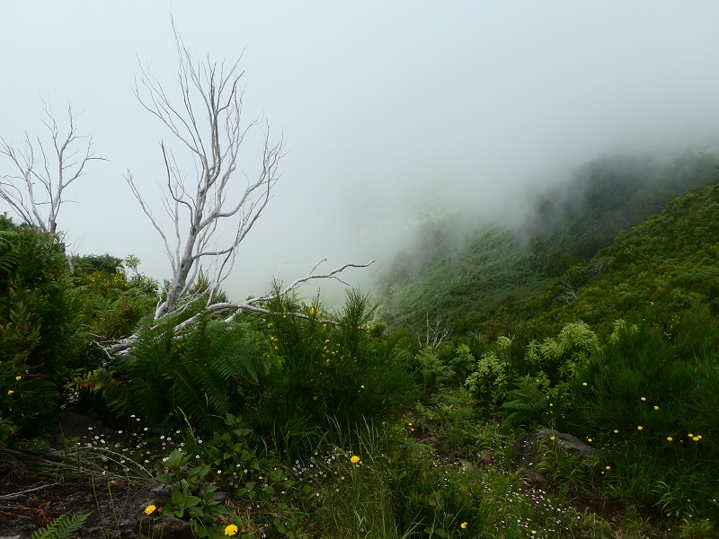 03.07.2018 Rundtour von Boaventura über die Ribeira dos Moinhos nach Achada da Madeira und zurück über die Levada da Achada Grande — Abstieg nach Achada da Madeira — Foto 4