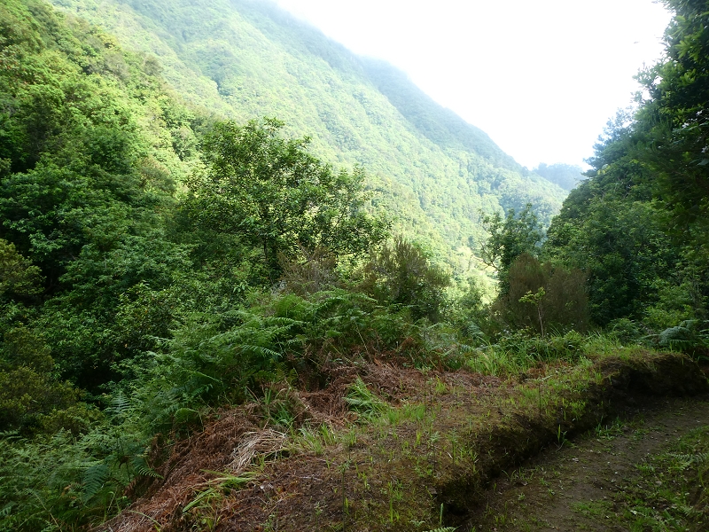 03.07.2018 Rundtour von Boaventura über die Ribeira dos Moinhos nach Achada da Madeira und zurück über die Levada da Achada Grande — Von Rocada zur Madre der Levada da Achada Grande — Foto 5