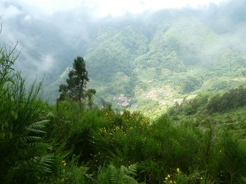 03.07.2018 Rundtour von Boaventura über die Ribeira dos Moinhos nach Achada da Madeira und zurück über die Levada da Achada Grande — Abstieg nach Achada da Madeira — Foto 12