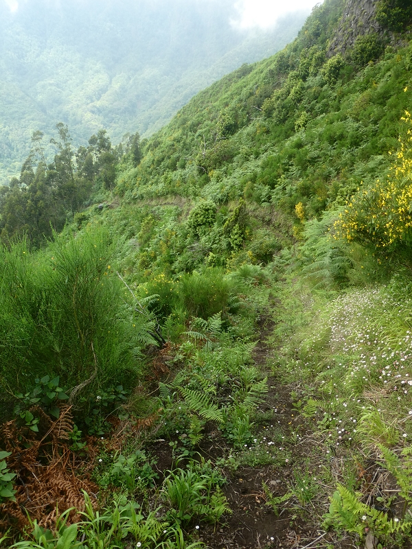 03.07.2018 Rundtour von Boaventura über die Ribeira dos Moinhos nach Achada da Madeira und zurück über die Levada da Achada Grande — Abstieg nach Achada da Madeira — Foto 14