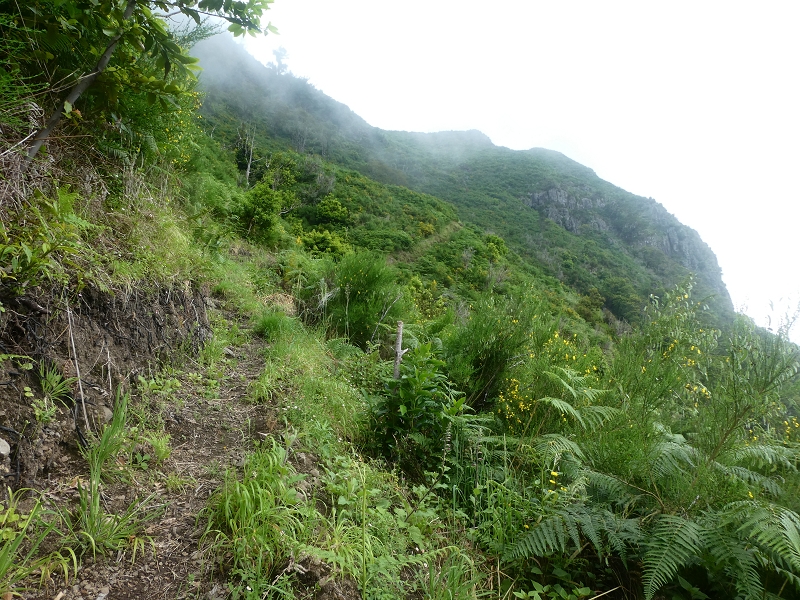 03.07.2018 Rundtour von Boaventura über die Ribeira dos Moinhos nach Achada da Madeira und zurück über die Levada da Achada Grande — Abstieg nach Achada da Madeira — Foto 15